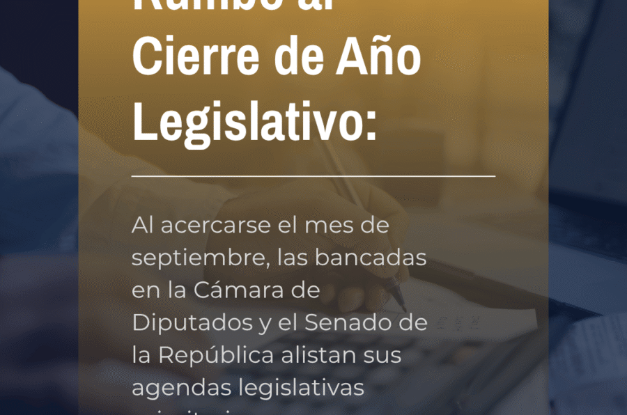 Revista_Agora_ (11)