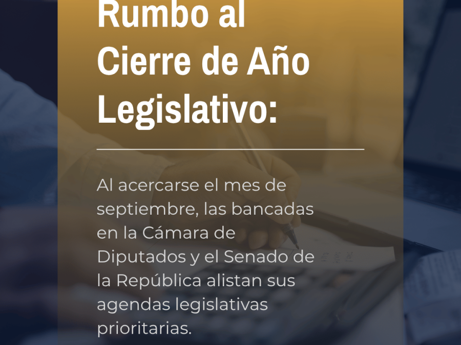 Revista_Agora_ (11)